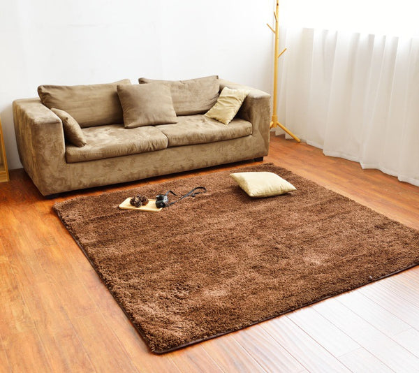 加厚絲毛長絨簡約現代客廳臥室茶几飄窗榻榻米床邊地毯滿鋪